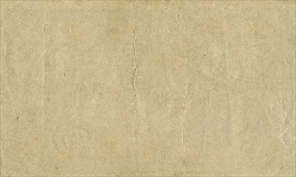 25 крон 1919 года без волнистых линий на аверсе (реверс)