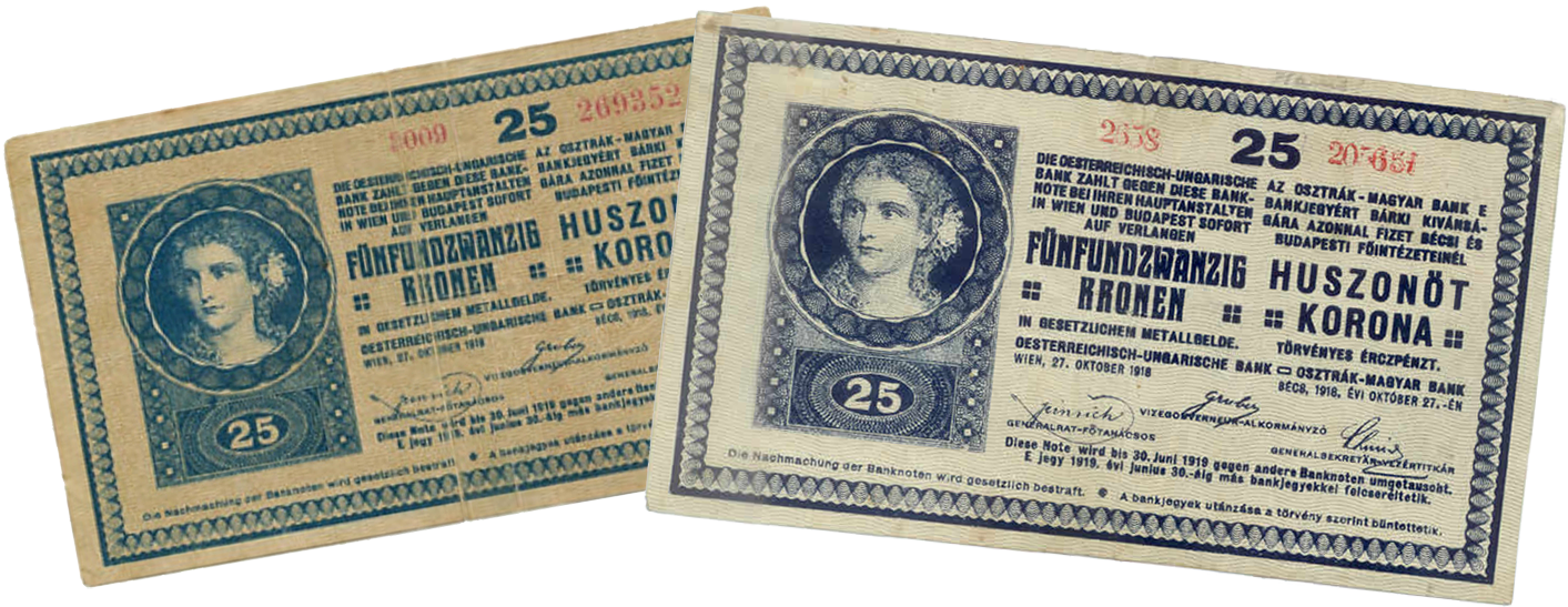Подделка 25 крон 1918 года, серия 2ххх